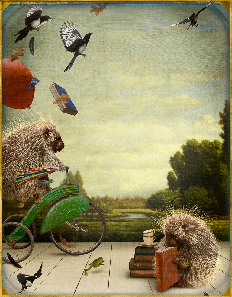 There Are Two Kinds of Porcupines by Corinne Geertsen